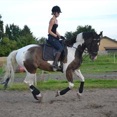 Anden særlig race Peanut<3