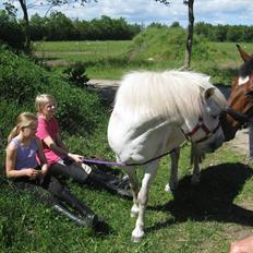Anden særlig race Sally