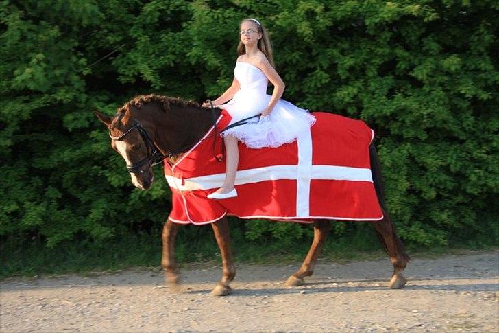 Anden særlig race Fly Light *DRØMMEPONYEN* billede 14