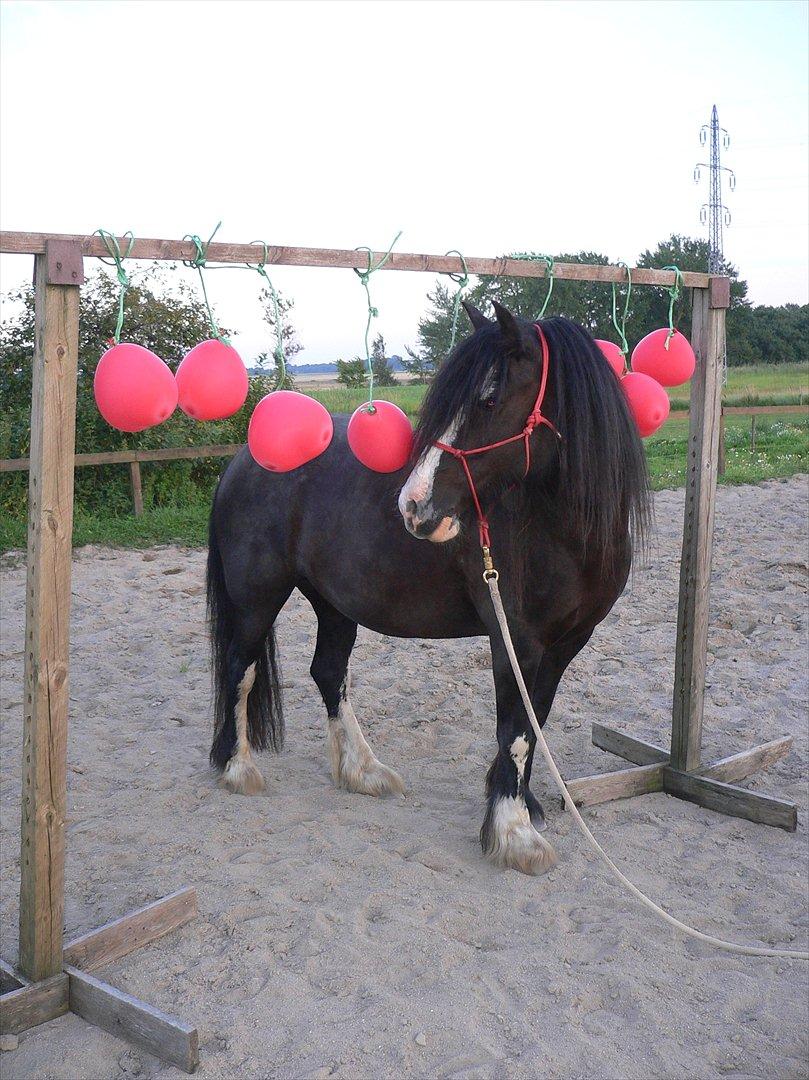 Tinker Zarmora R.i.P - Zarmora igennem ballonerne billede 15