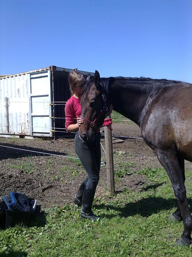 Anden særlig race Egekvist's Chili billede 6