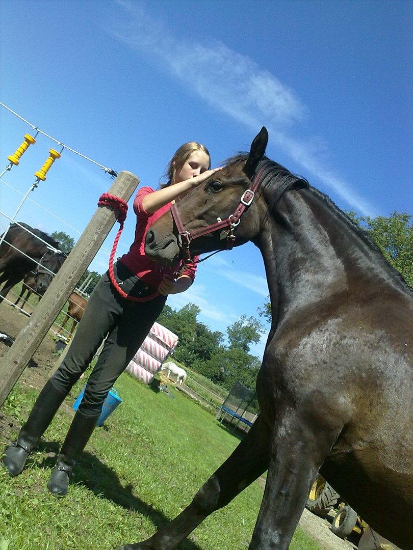 Anden særlig race Egekvist's Chili billede 9