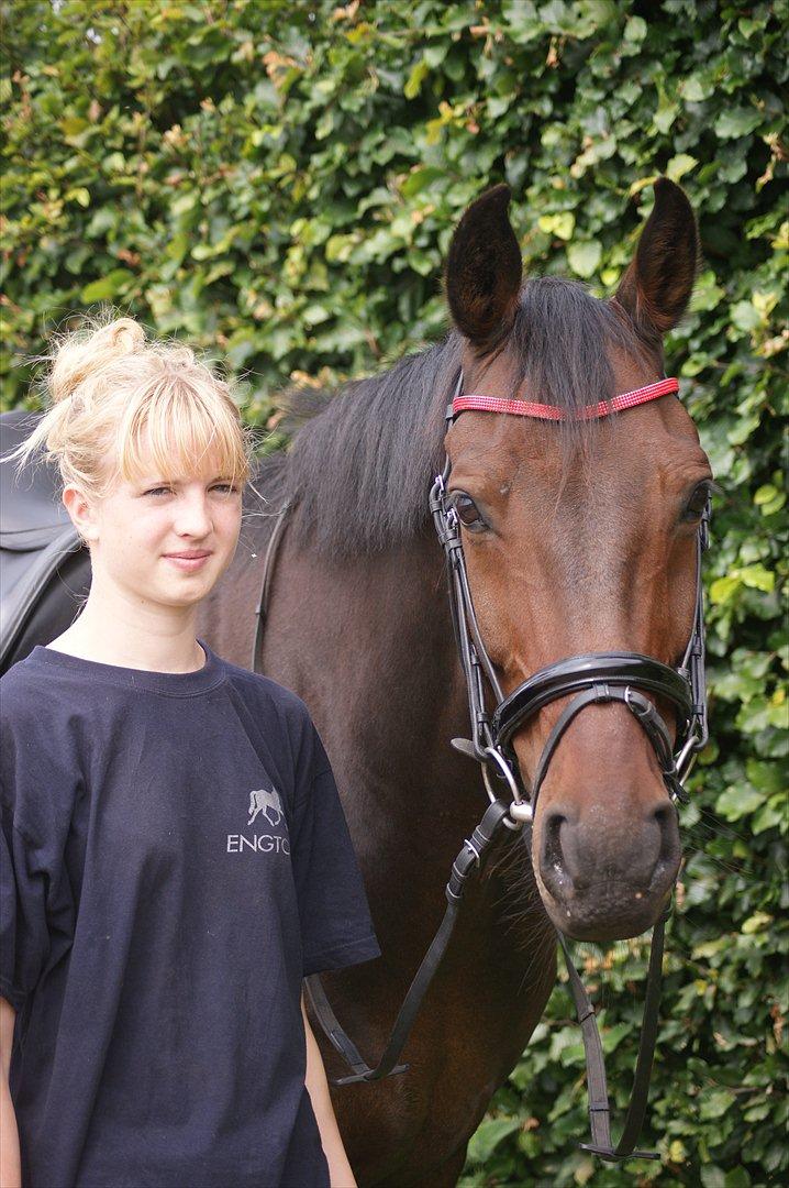 Oldenborg Prins Hamlet 387 † R.I.P † - ØSR, min dejlige dreng! © Foto: LJ-Foto  billede 5