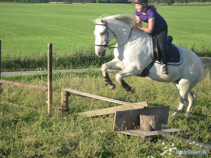 Anden særlig race Osanna  - Spring hos Rikke :D  billede 16