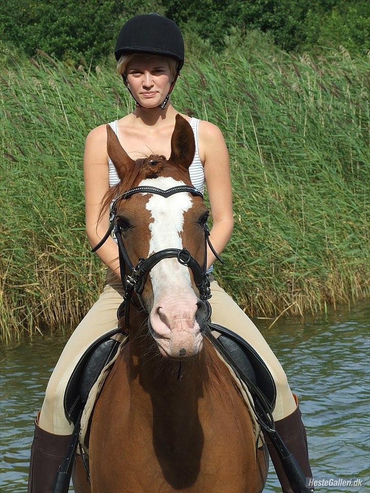 Anden særlig race † Stald Gunnartoft's Safir † - I vandet.
Foto: Marie billede 2