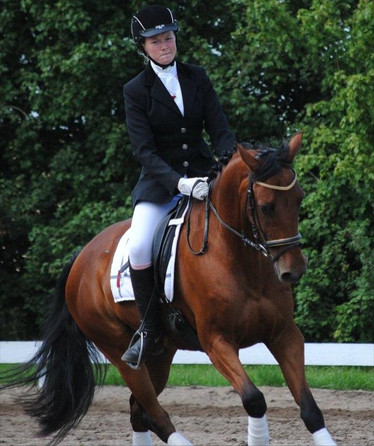 Anden særlig race Kyara *SEJE-REJE* - en meget koncentreret Silja, på en meget tilfredsstillende pony hyp!:D <3 første LB3, vinder af klassen!:O billede 2