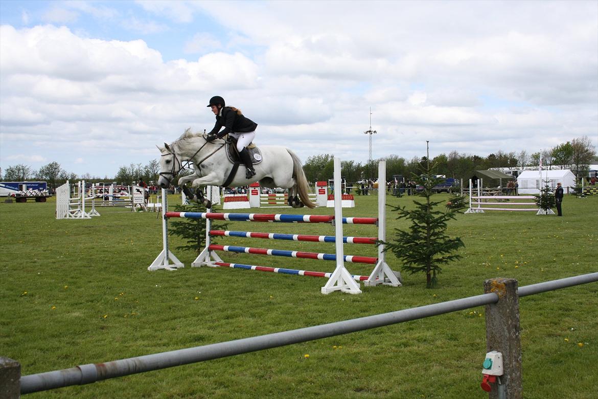 Holstener Carmen billede 7