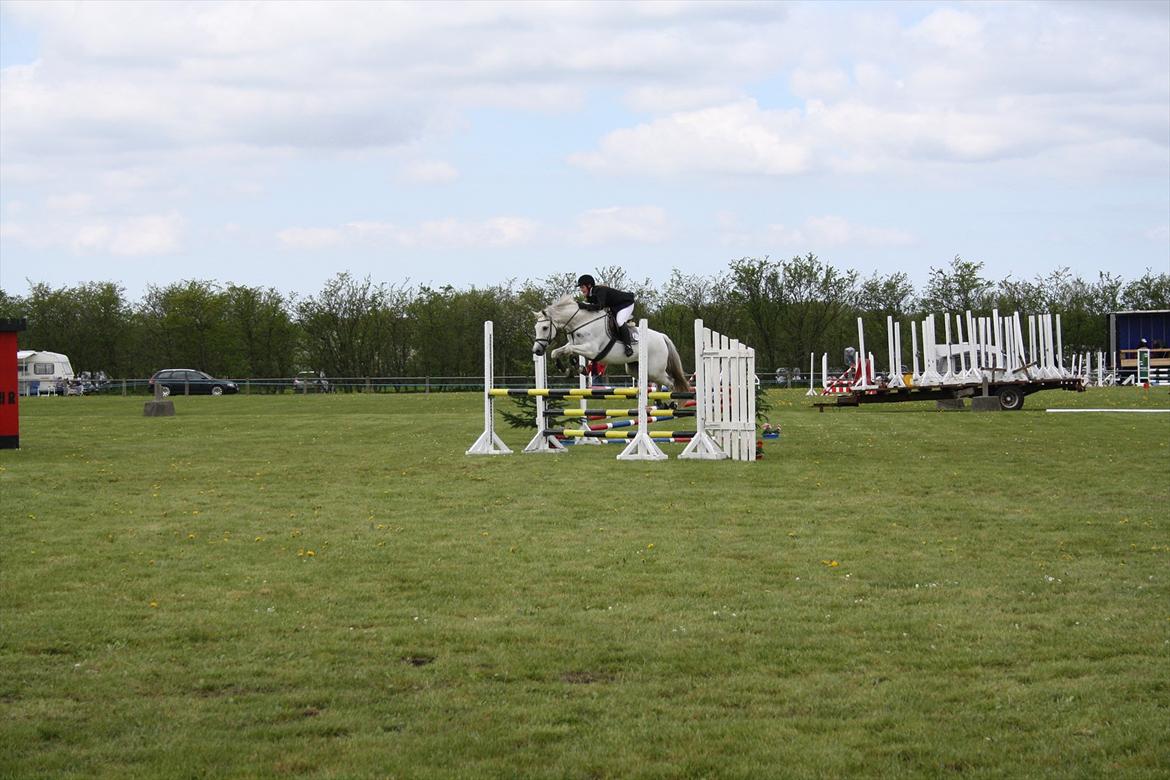 Holstener Carmen billede 8