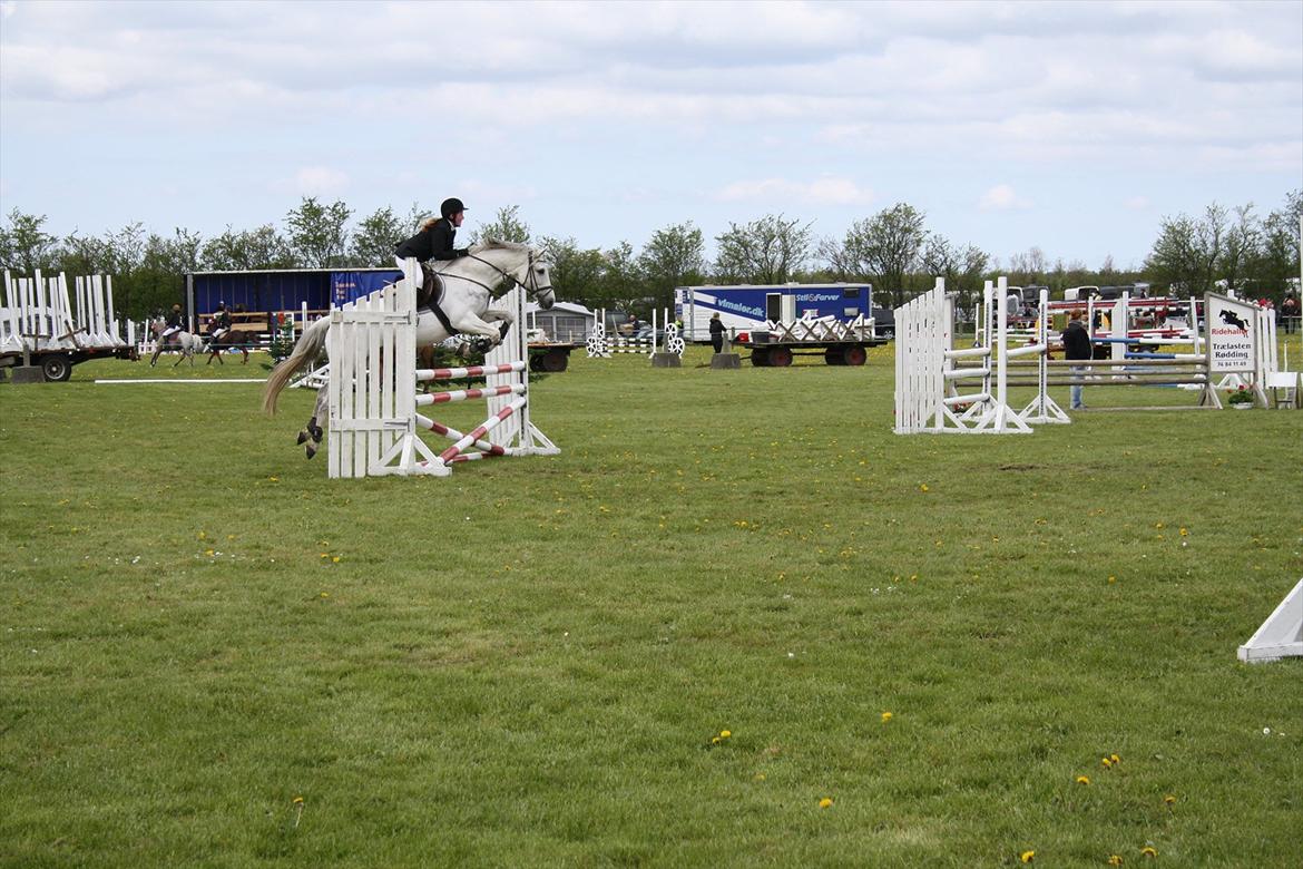 Holstener Carmen billede 9