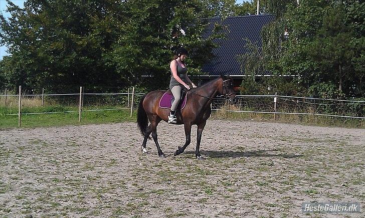 Traver Linda egely *rip* - aug 2011 nelle og nana billede 18