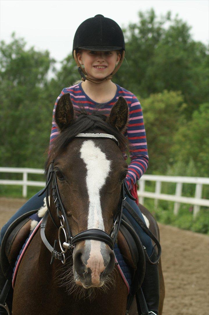 Anden særlig race Holmsgaards super sheik  - Jeg elsker dig! :) billede 4