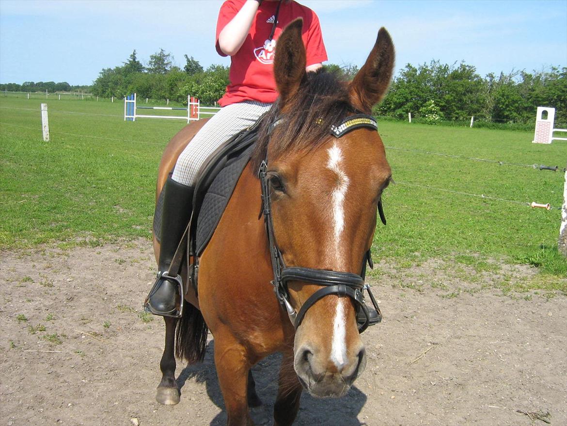 Anden særlig race philina - lille philina her du det hårdt billede 6