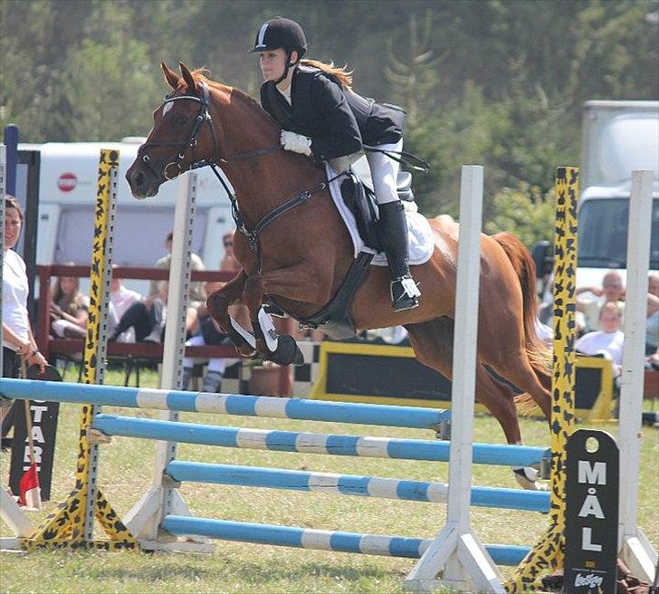 Hollandsk Sportspony Xana Maxima  - LB tribbelbar til Ponyuge 2011! :*
Vores første LB og fejlfri!<3<3 billede 7