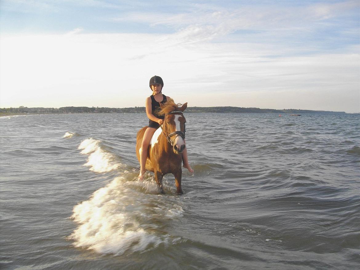 Anden særlig race Chanel - kommunemester 2013 spring - Bader med mit dejlige badedyr <3 Nelle elsker vand billede 4