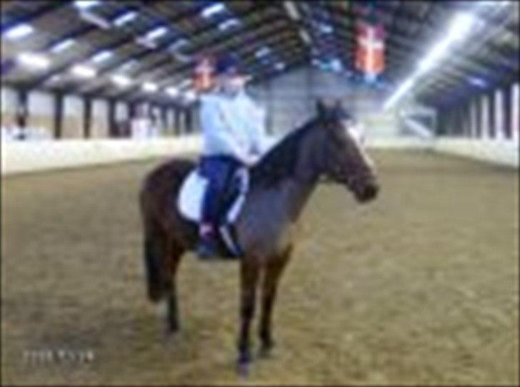 Anden særlig race Nikoline *SOLGT* - Den dag da jeg fik hende:) der er sket meget siden da! :) billede 18