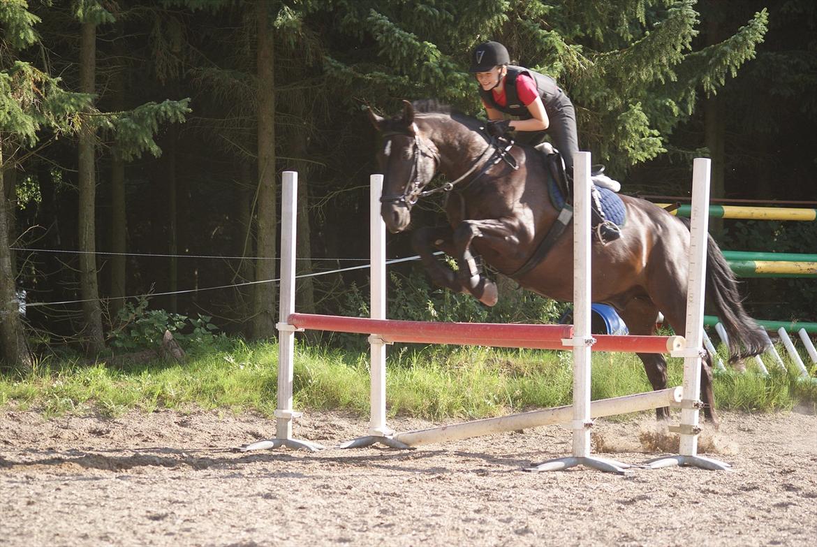 Oldenborg Noir  |Sorte| - Noir og mig over en oxer på 90 cm :* Dejlige dreng :* billede 5