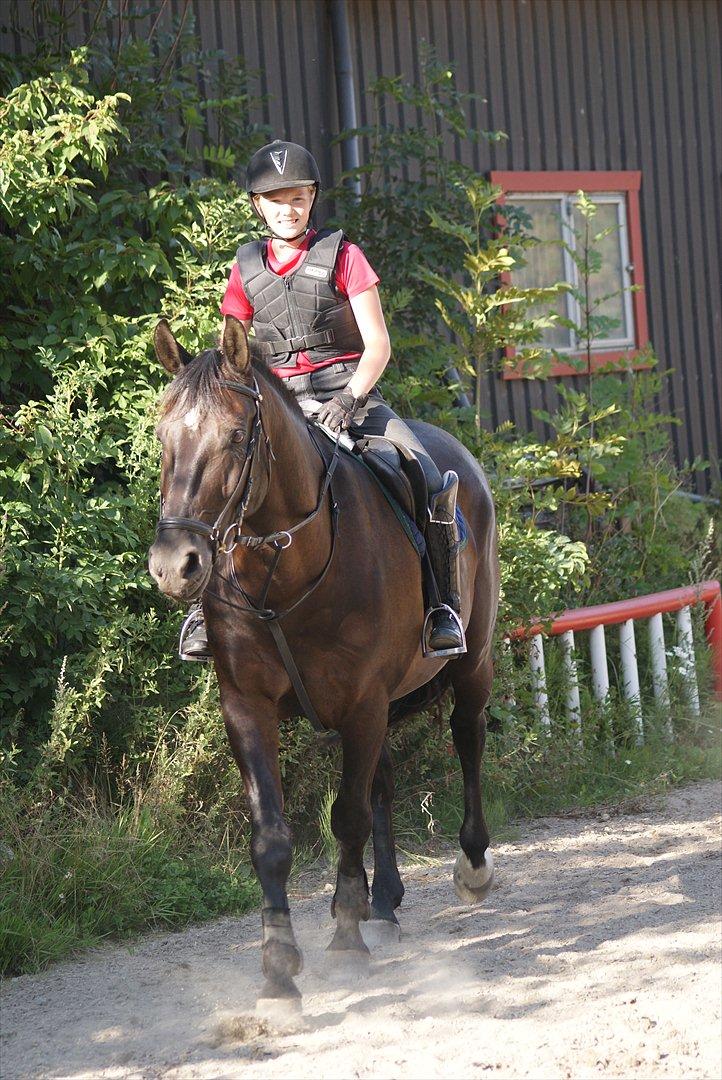 Oldenborg Noir  |Sorte| - Super fantastisk springtræning på sorte :)   billede 4