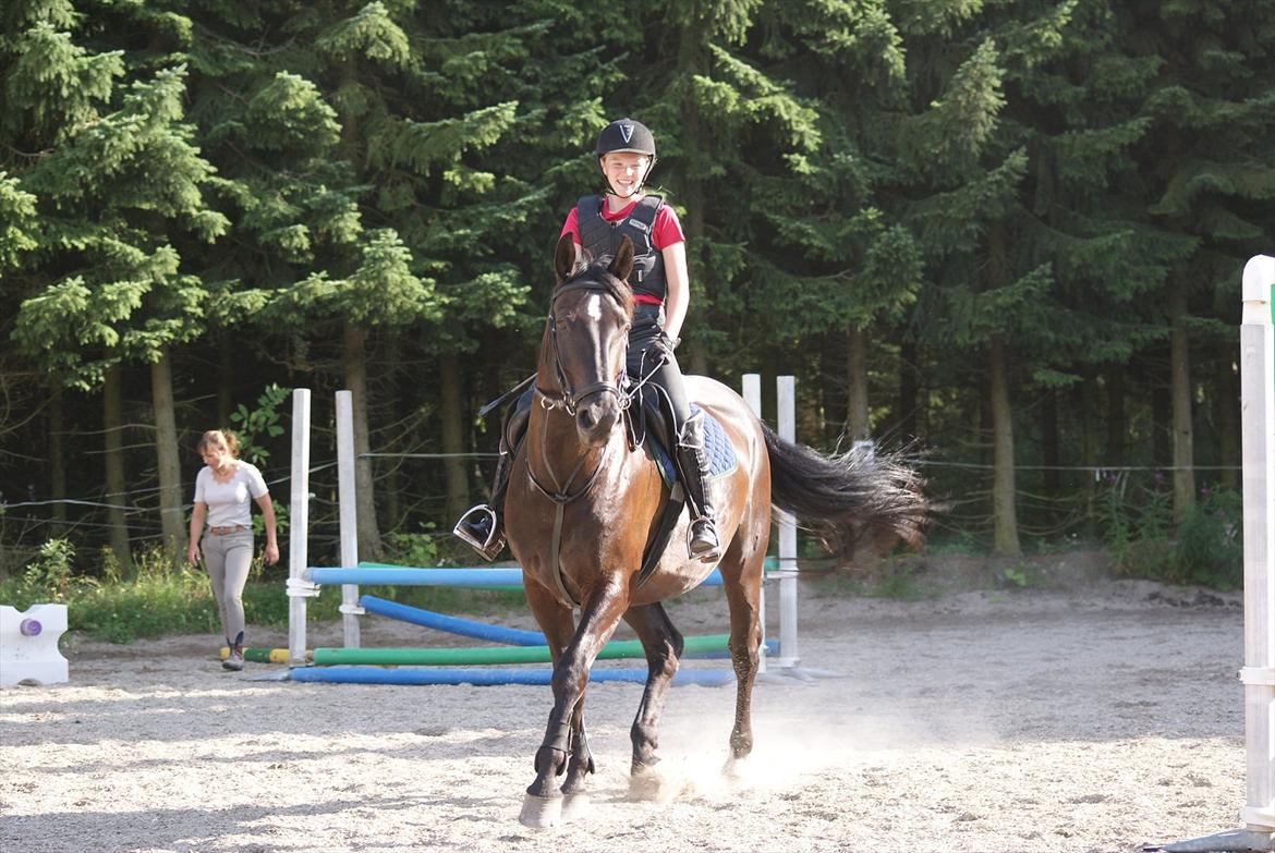 Oldenborg Noir  |Sorte| billede 11