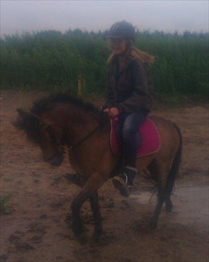 Anden særlig race Sofus billede 10