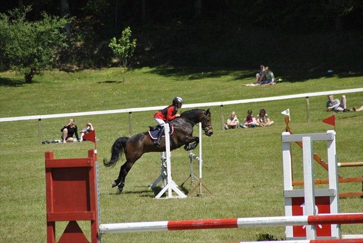 Anden særlig race Felix - B-pony - Morsø 2011 - Med Emily :D <3 billede 14