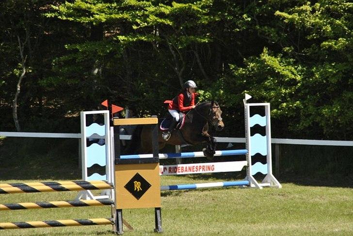 Anden særlig race Felix - B-pony - Morsø 2011 - Med Emily :D <3 billede 15