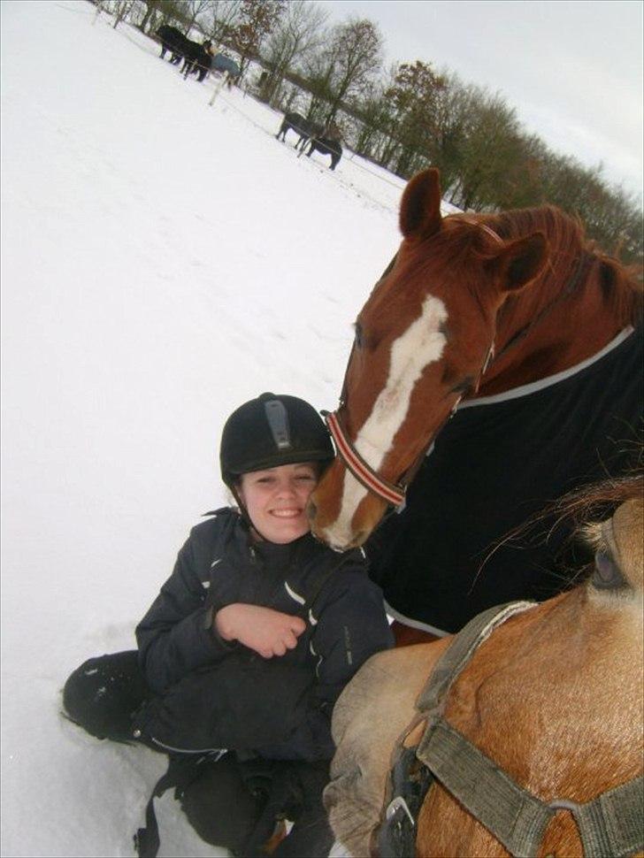 Anden særlig race Bitten.  - Min hest er mit spejl, som uforfalsket gengiver mine dårlige og gode luner. Se din hest i øjnene og lad dig ikke skræmme af sandheden.
 billede 19