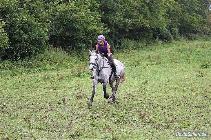 Anden særlig race Lotus - NYT terrænkursus SRÅ juli 2011. RC FOTO billede 3