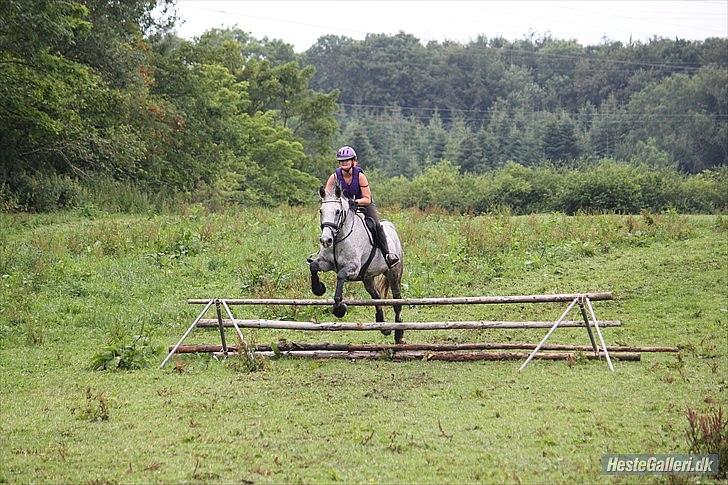 Anden særlig race Lotus - NYT terrænkursus SRÅ juli 2011. RC FOTO  billede 7