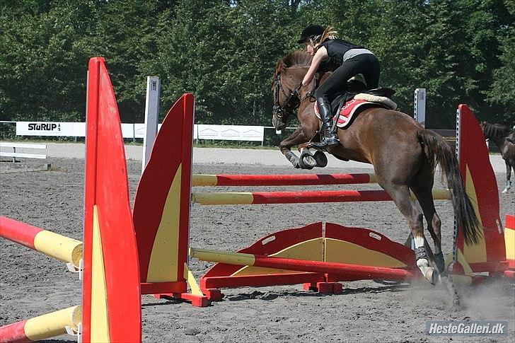 New Forest Orchid's Champer<3 solgt :'-( - på VB, springer 100!:*<3 billede 4