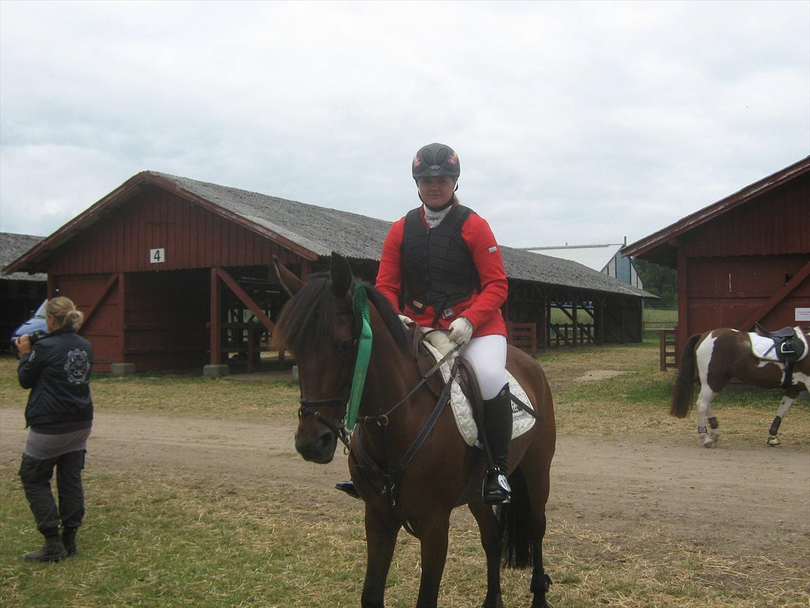 Anden særlig race Tippy B-pony - Hold DM 2011- fik 7. pladsen billede 15