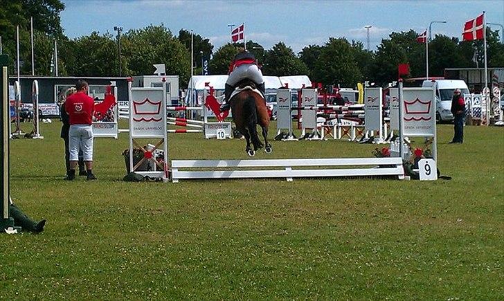 Anden særlig race Tippy B-pony - DM for hold 2011
lidt træls at det er taget bagfra :/ men det er det eneste vandgravs billede jeg har :) billede 16