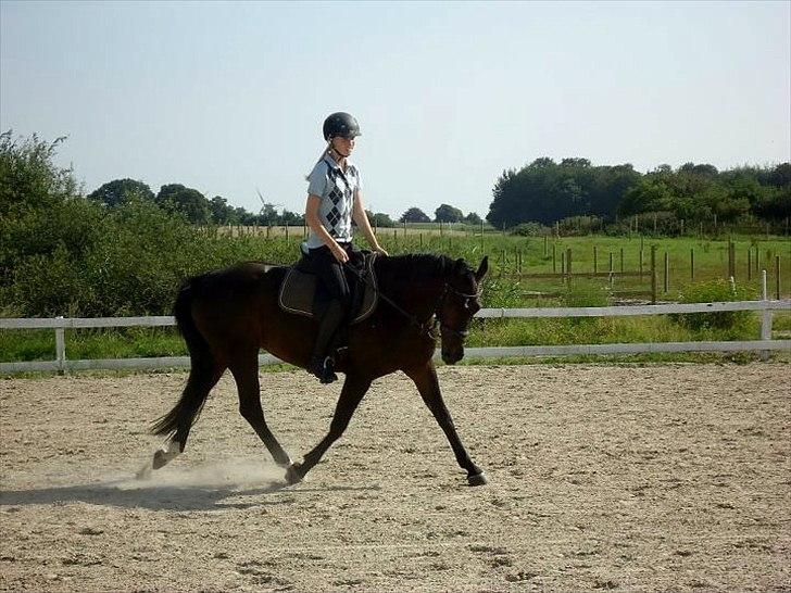 Anden særlig race Lux Liberty - Part - Jeg elsker den her pony! <3 billede 2