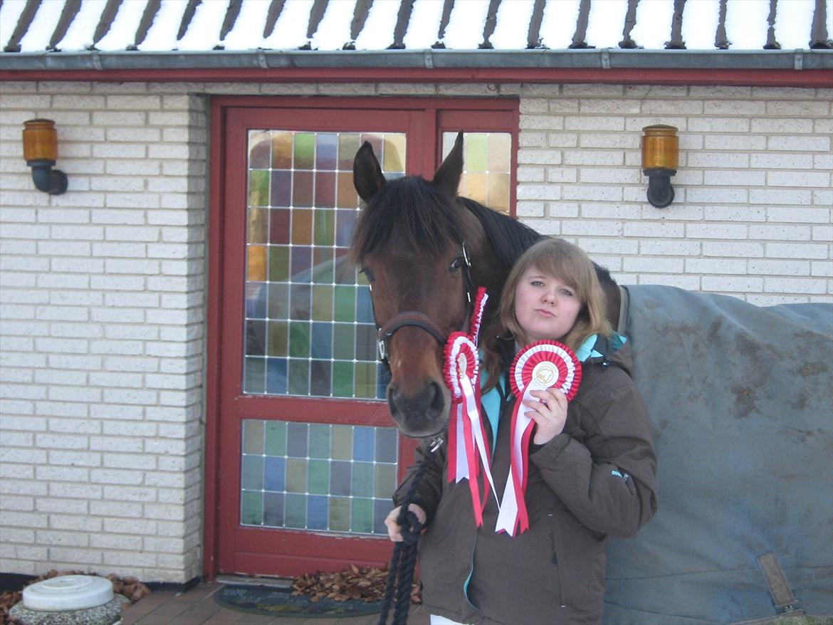 Anden særlig race Tippy B-pony - Tippy & jeg fik tre 1. pladser til C-stævne i Ringkøbing 2011  billede 18