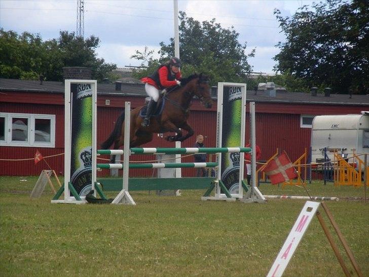 Anden særlig race Tippy B-pony - Tippy i MB i Horsens fotograf: Nanna Støvring billede 19