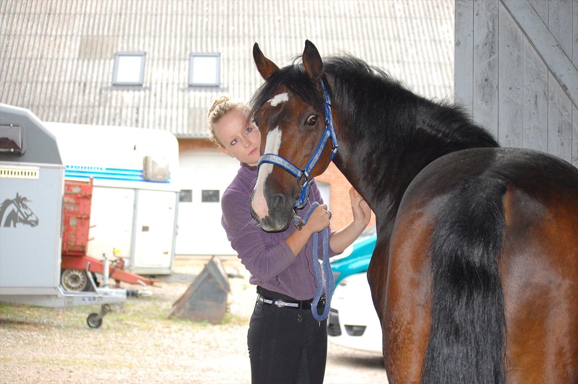 Anden særlig race Kløvermarkens Totti billede 12