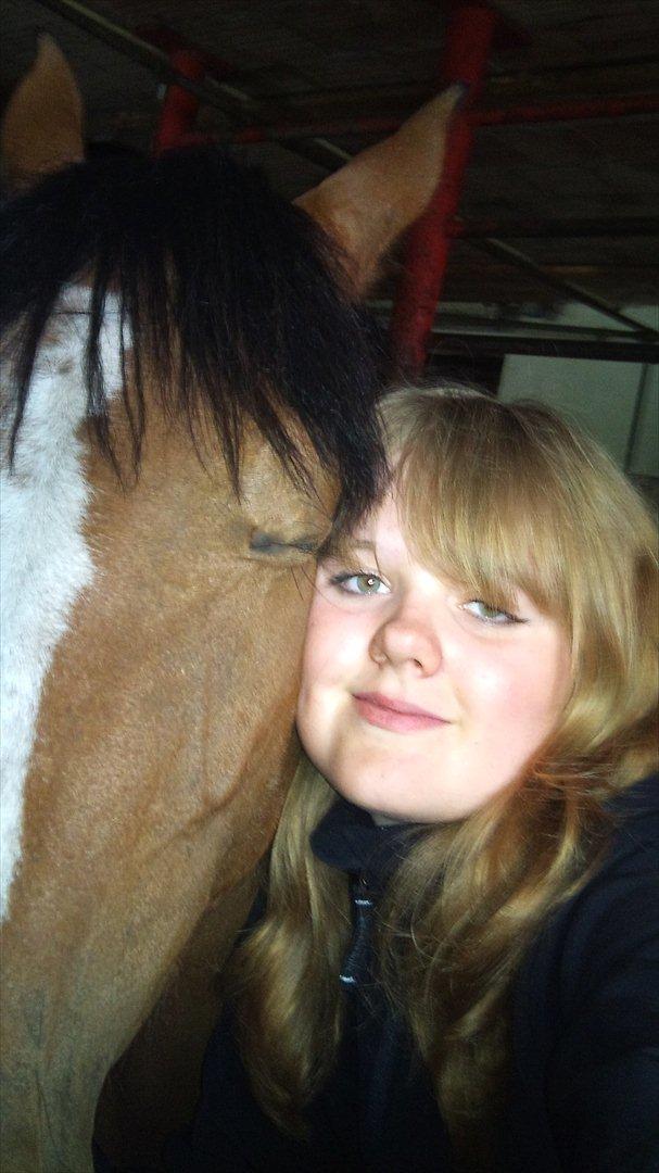 Dansk Varmblod Lyngdalgårds Studina - Studina & jeg :D billede 7