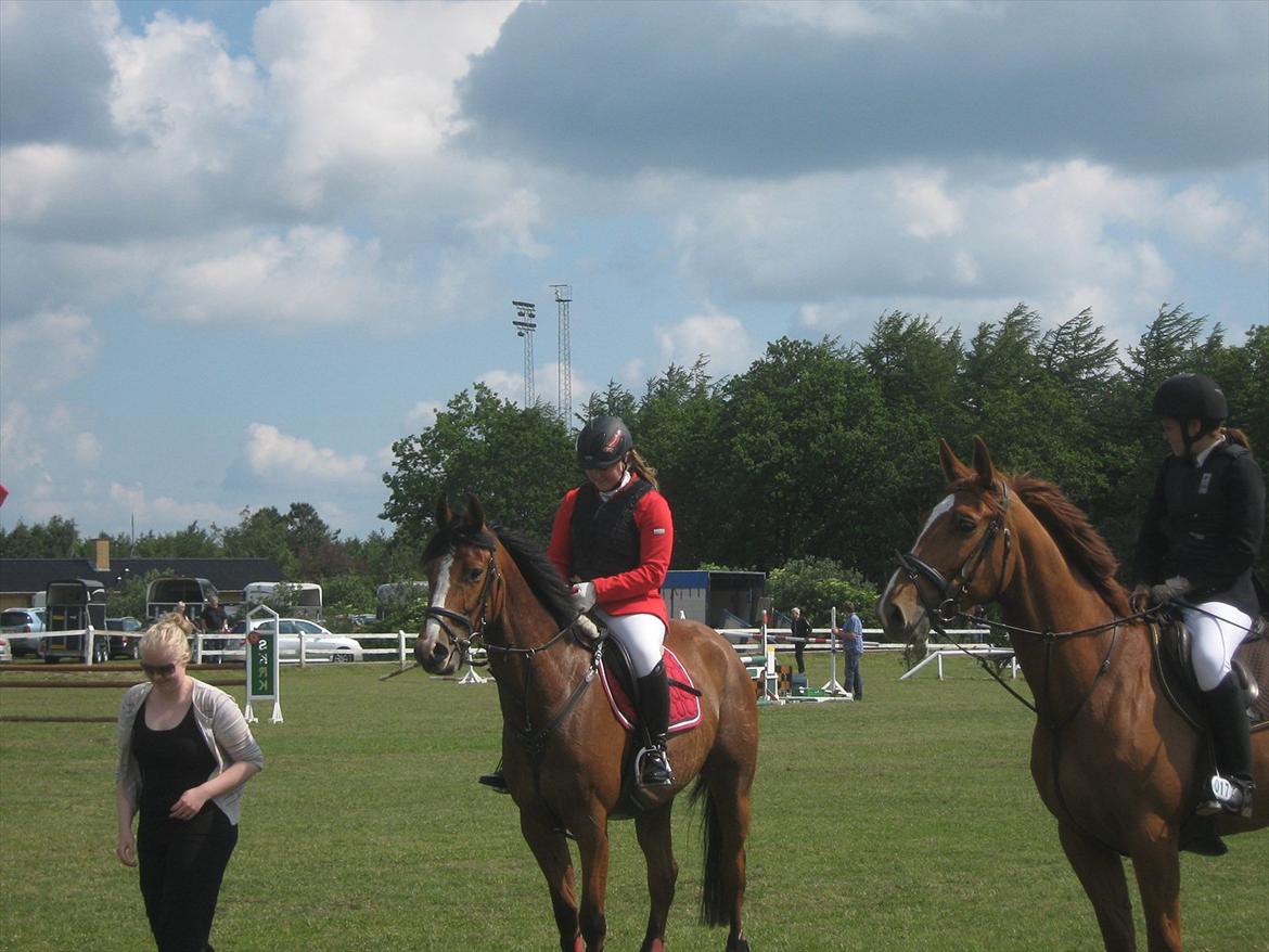 Dansk Varmblod Lyngdalgårds Studina - Studina´s første "rigtige" stævne en 1. plads i LD og en 2. plads i LC :D billede 13