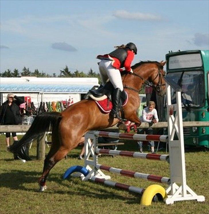 Dansk Varmblod Lyngdalgårds Studina - stævne juli 2011, det er vidst en LC :D billede 15