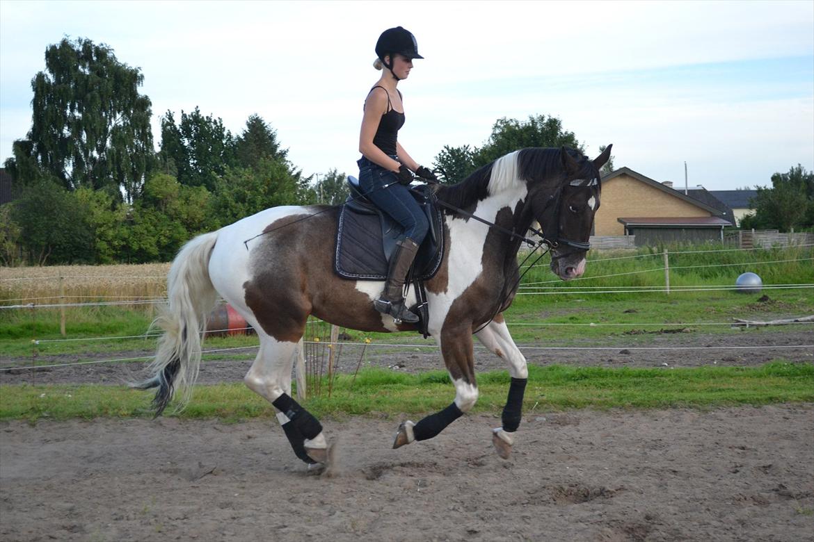 Anden særlig race Peanut<3 billede 1