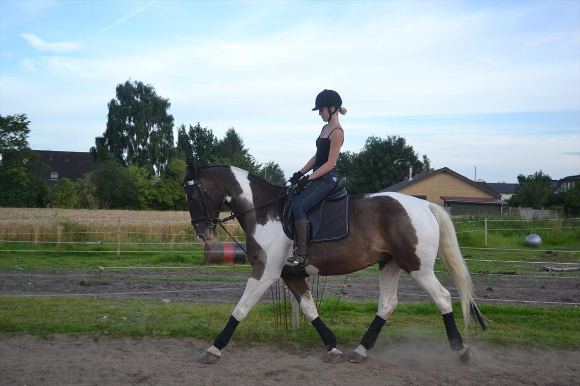 Anden særlig race Peanut<3 billede 9