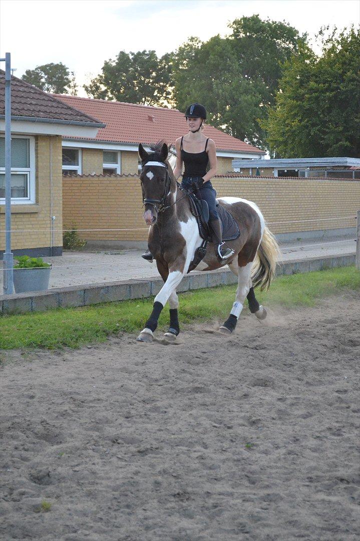 Anden særlig race Peanut<3 billede 7