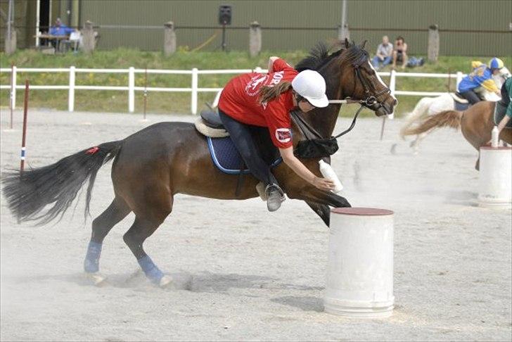Norsk Sportspony Flying Amy - Nordic Norge 2008 billede 13