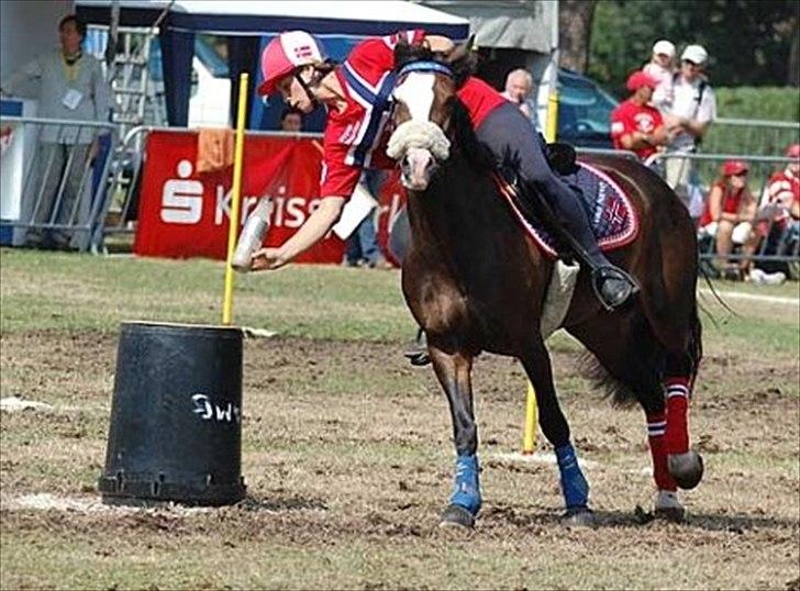 Norsk Sportspony Flying Amy - Europamesterskapet 2008 billede 15