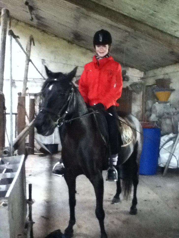 Anden særlig race Dibsi  - På vej ud og ride;)<33 billede 14