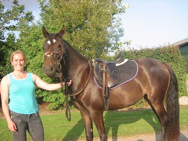 Anden særlig race Pennelope billede 1