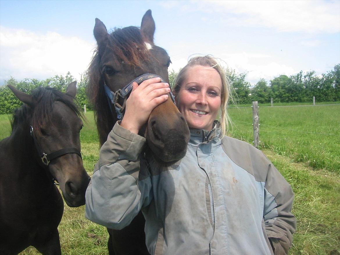 Anden særlig race Pennelope billede 7