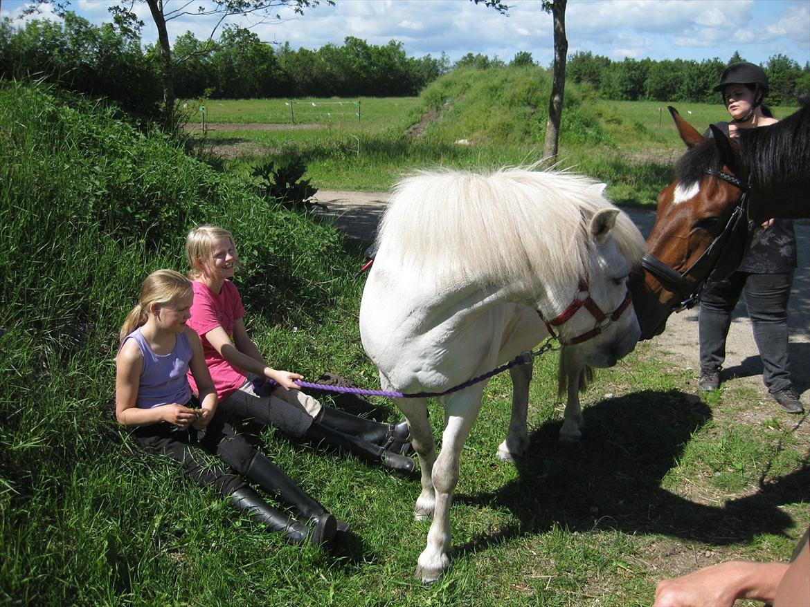 Anden særlig race Sally - Hej Taison min gamle ven<3 billede 2