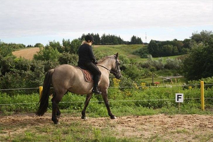 Anden særlig race Fiona  - mig og fiona  billede 7