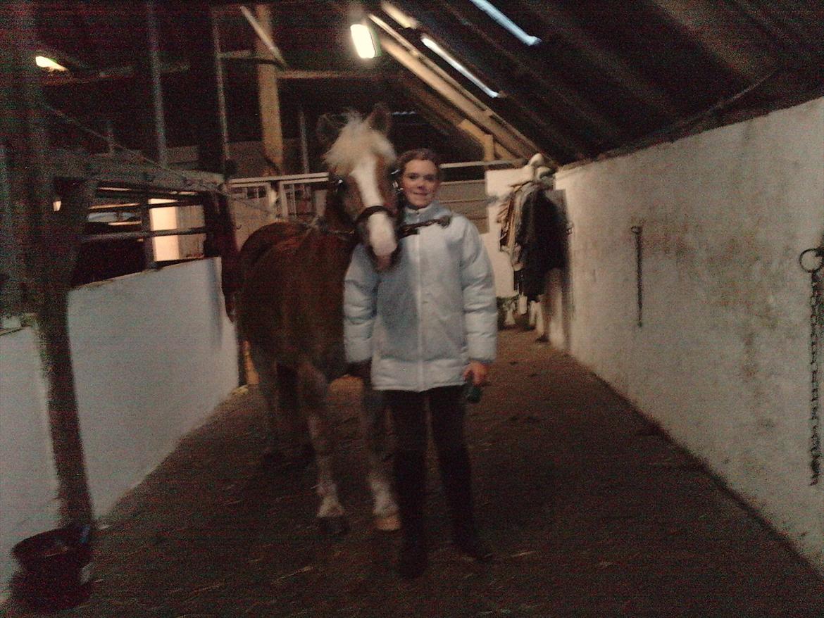 Haflinger PRINS - *SAVNET* - En pony jeg elsker højere end noget andet!  - jeg savner dig. billede 11