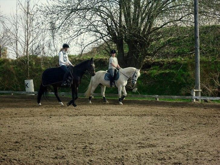 Anden særlig race Lux Liberty - Part - Chiller lidt med Anika og Lover ;-)) billede 7